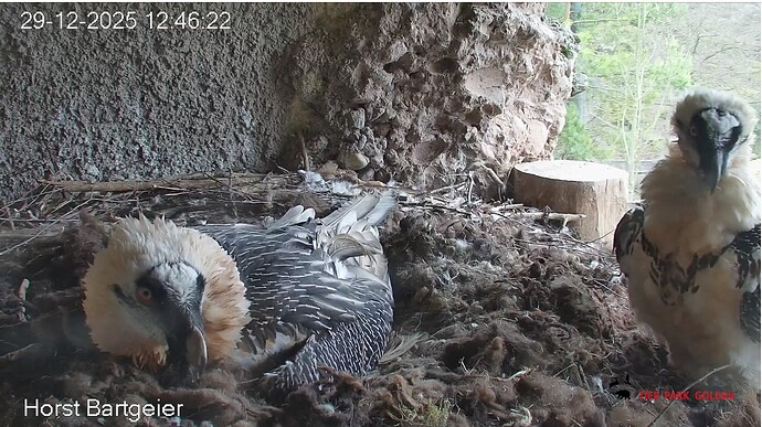 Screenshot_20251229-124725~2