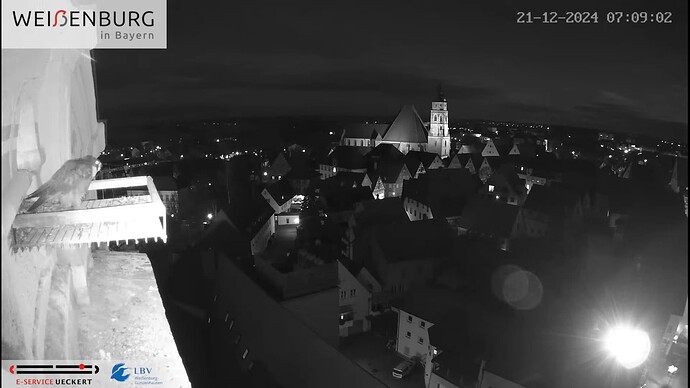 Screenshot (7688)