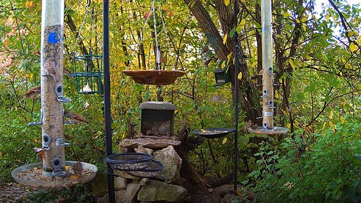 Snap_2024.10.24_09h29m36s_003_