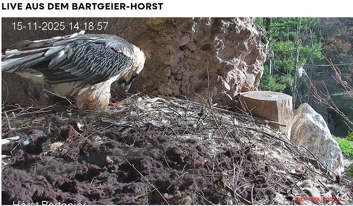 Screenshot_20251115-142002~2