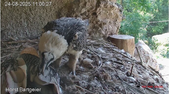 Screenshot_20250824-110134~2