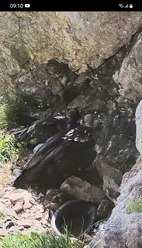 Screenshot_20250615-091035_Samsung Internet