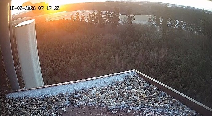 Screenshot_20260218_071841_Chrome