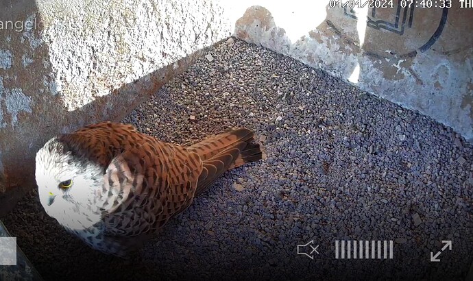 Screenshot_20240404-074055~2