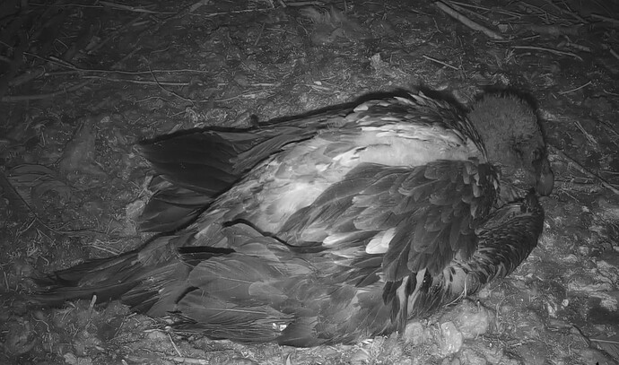 weiterschlafen 10.05.24