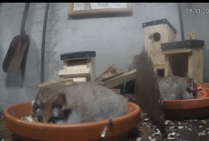 Screenshot_20231108_165208_Samsung Internet