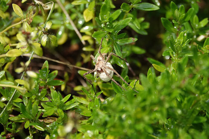 DSC01050