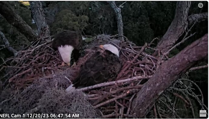 Screenshot 2023-12-20 133055