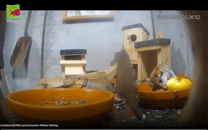 Screenshot_20231027-202559_Chrome