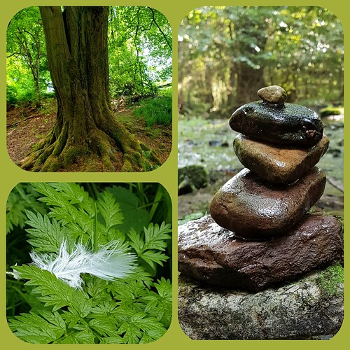 Polish_20250807_100800117