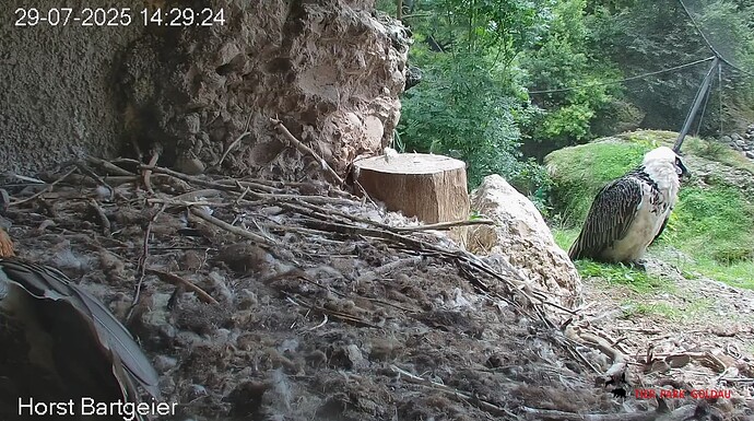 Screenshot_20250729-143031~2