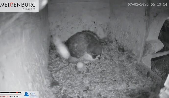 Screenshot_2026-03-07-06-19-42-346_com.google.android.youtube~2