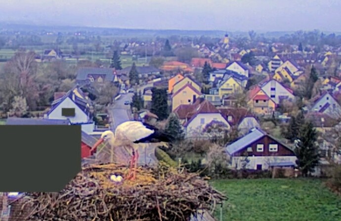 Screenshot_2026-03-29-06-48-41-361_com.android.chrome~3