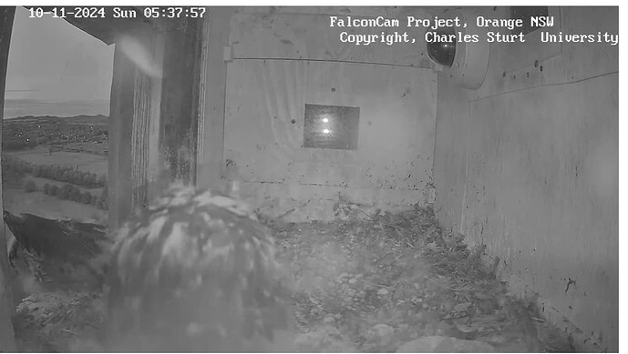 Screenshot 2024-11-09 232914