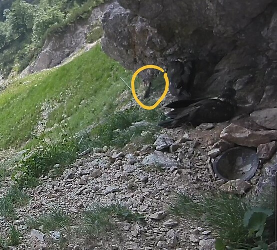VideoCapture_20230618-105606