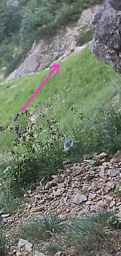 IMG-20230706-WA0002