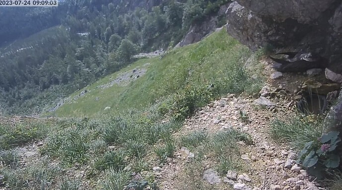 2023-07-24 09_09_24-Greenshot