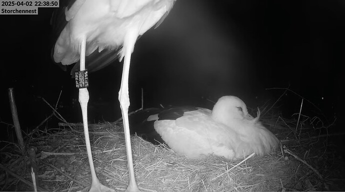 Screenshot_20250402_223923_YouTube