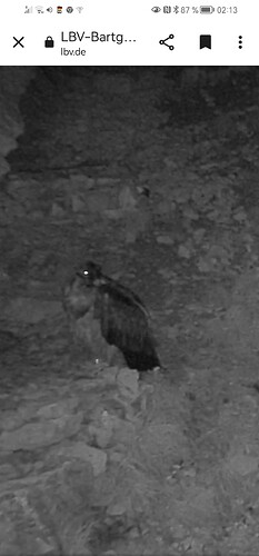 Screenshot_20230603_021341_com.android.chrome