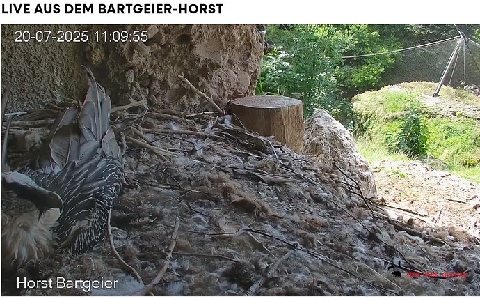 Screenshot_20250720-111105~2