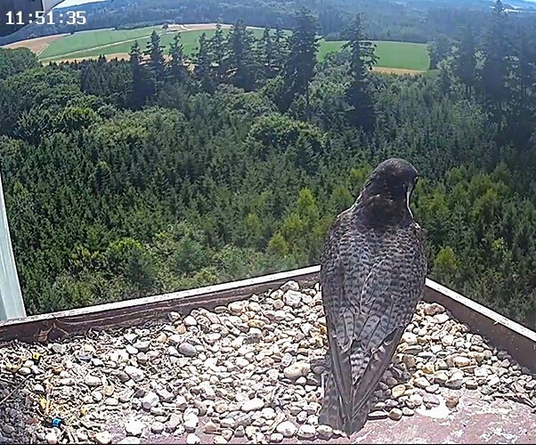 Screenshot_2025-07-18-11-51-39-727_com.android.chrome