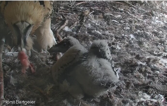 Beim Frühstück 09.04.24