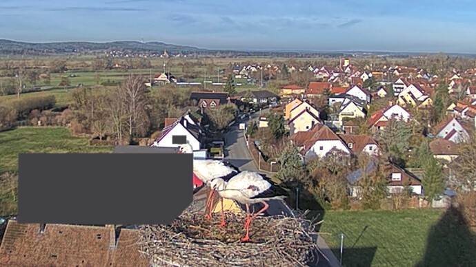 stöckchen
