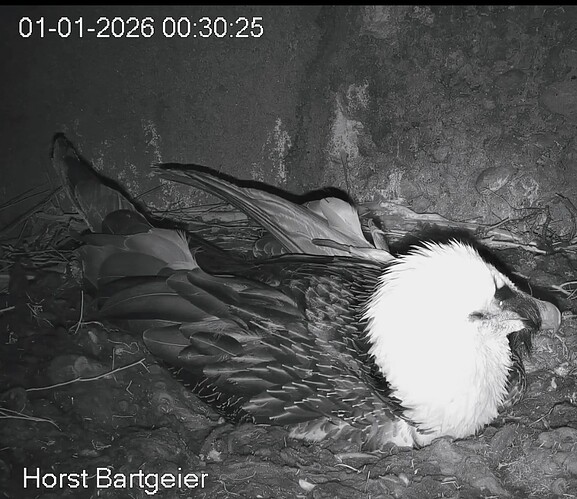 Screenshot_2026-01-01-00-31-28-478_com.android.chrome~3