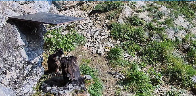 Kein Frieden 10.06.25