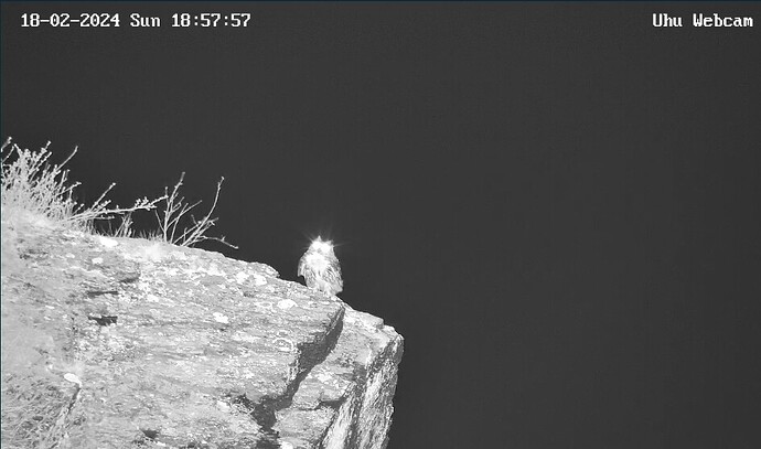 Screenshot_20240218_185839_Chrome