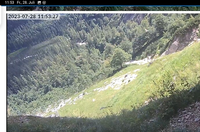 Screenshot_20230728-115350_Chrome