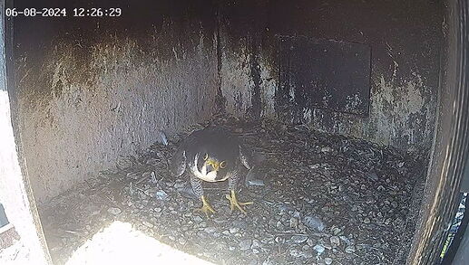 Snap_2024.08.06_13h22m50s_002_