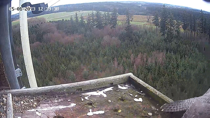 und Abflug