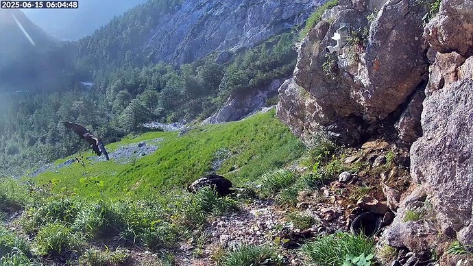 Bildschirmfoto vom 2025-06-15 09-57-58