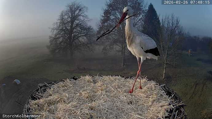 A_2026-02-26_07-48-15