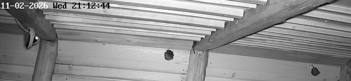 2026-02-11_8 ab 21.00 Kugel und einzelne Hufi in WG