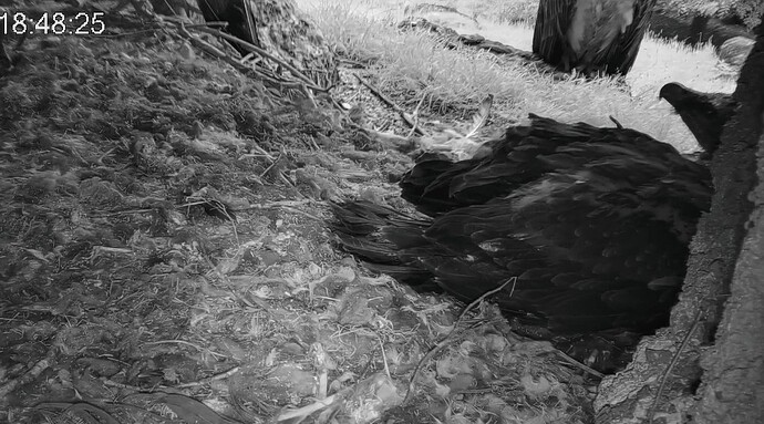 Screenshot_2025-05-05-18-49-54-110_com.android.chrome