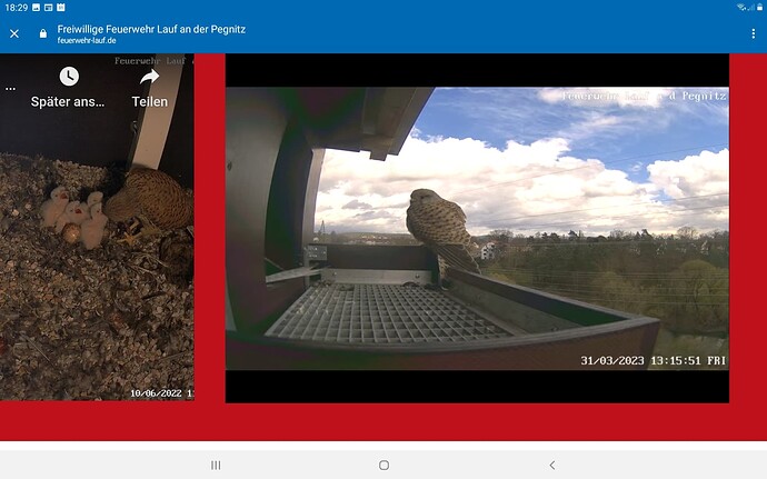 Screenshot_20230331-182918_Chrome