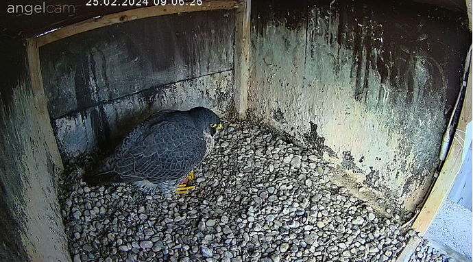 Snap_2024.02.25_09h06m57s_007_