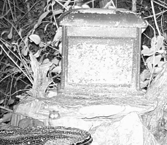 Bildschirmfoto 2024-11-20 um 20.32.32