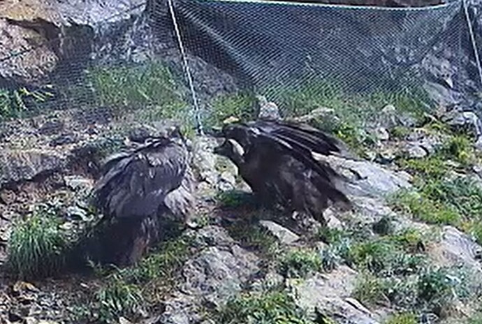 Kleiner Disput 16.06.25