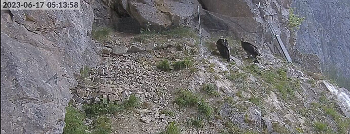 IMG_7510
