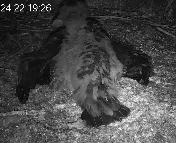 Screenshot_20240505-222031~2