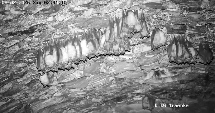 2026-02-8_1 ab 2.00  letzte Kugel der Nacht