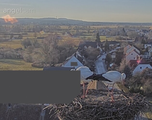 Screenshot_20260115_153118_Samsung Internet