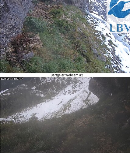 Screenshot_20240915_100739_Chrome