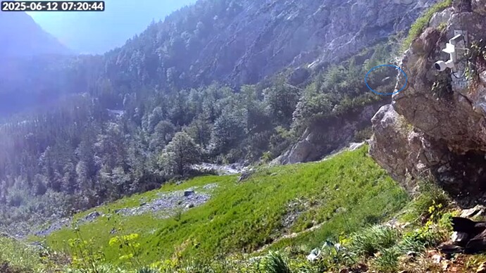 Bildschirmfoto vom 2025-06-12 11-12-01