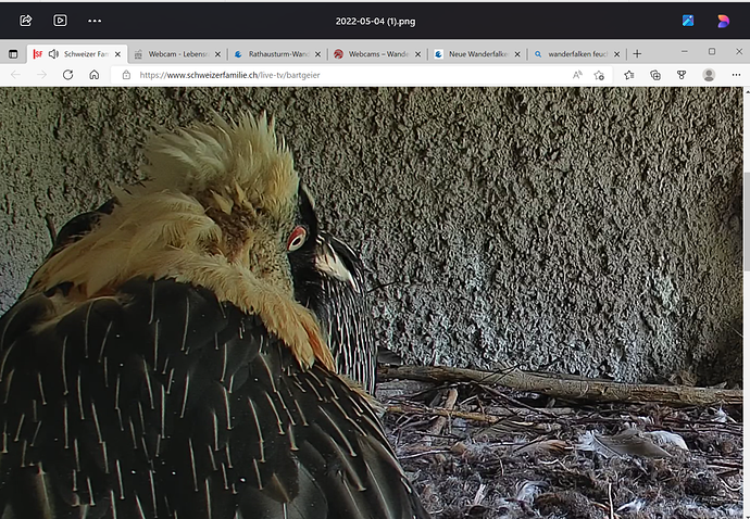 Screenshot 2025-10-28 161117