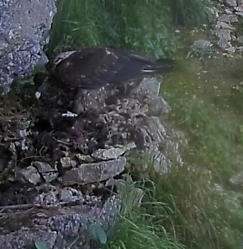 Screenshot_20240715-123634~2