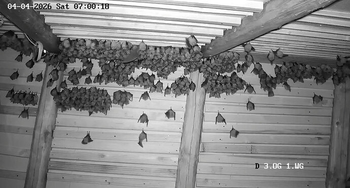 2026-04-04_3 abstrakte Kunst 1